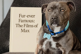 Pawesome Pet Book